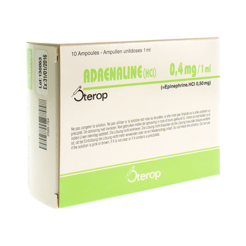 ADRENALINE HCL STEROP 0,4MG/ML SOL INJ 10 X 1 UD | Apotheek Ginderbuiten