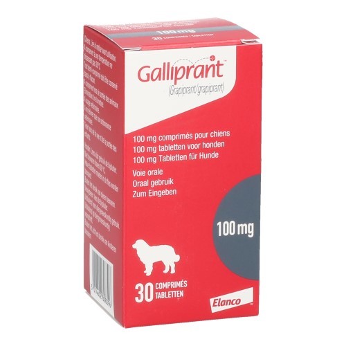 galliprant-60-mg-x-30-tb-merkapet